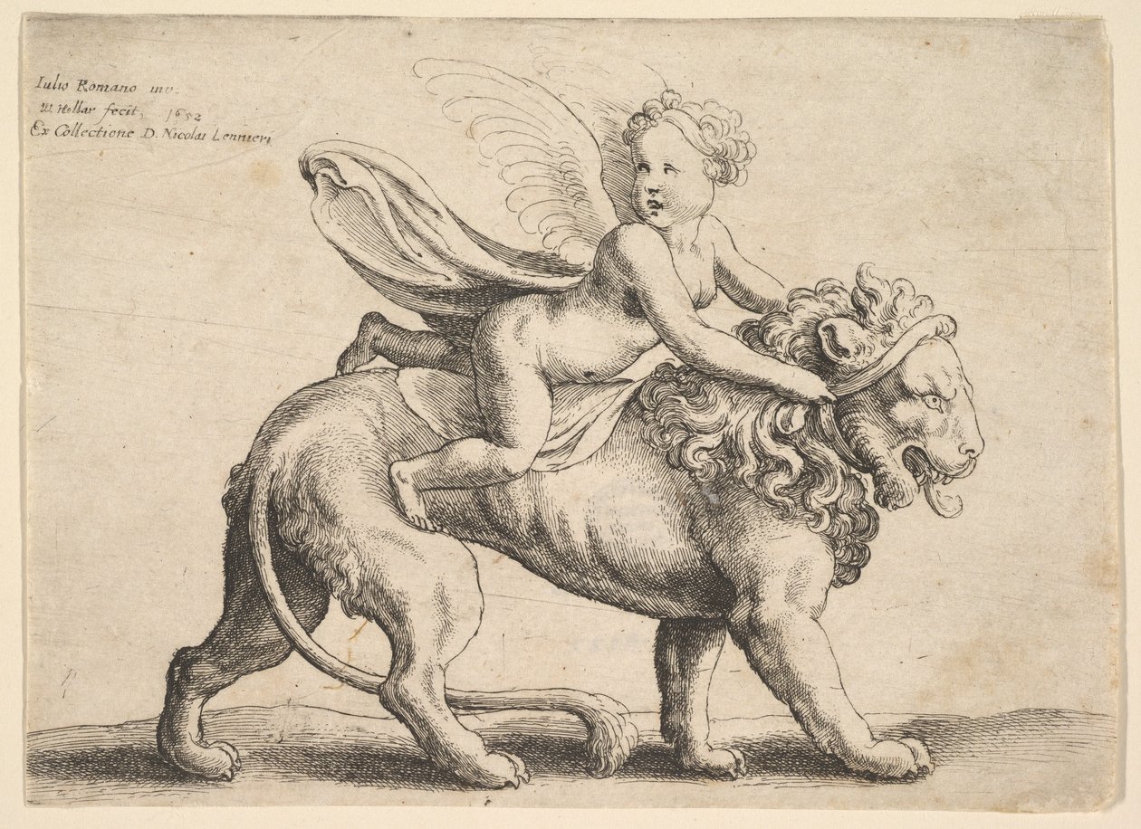 Cupido su un leone, 1652 da Wenceslaus Hollar