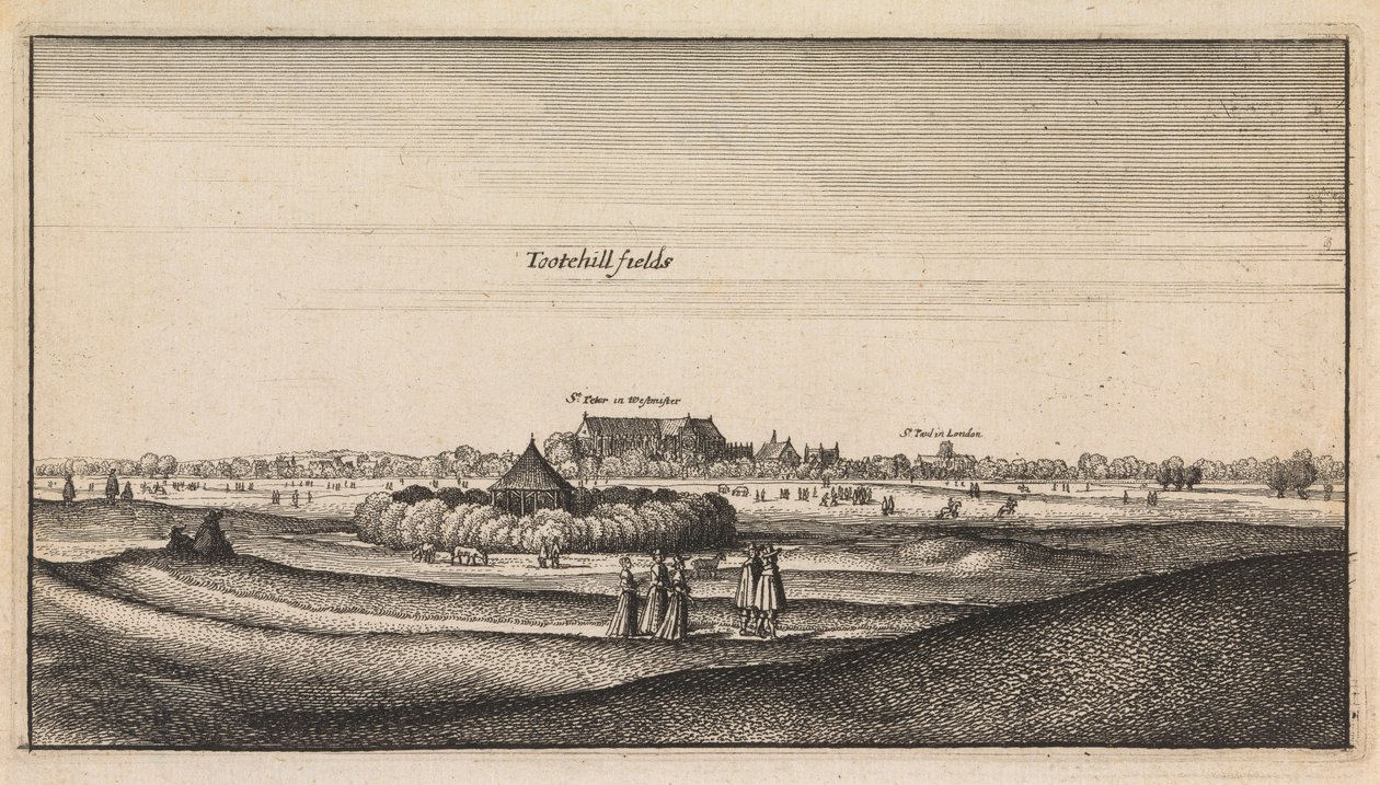 Vedute Inglesi: Tootehill Fields da Wenceslaus Hollar