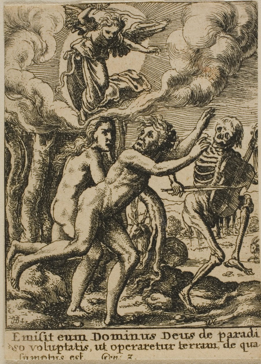 Espulsione dal Paradiso da Wenceslaus Hollar