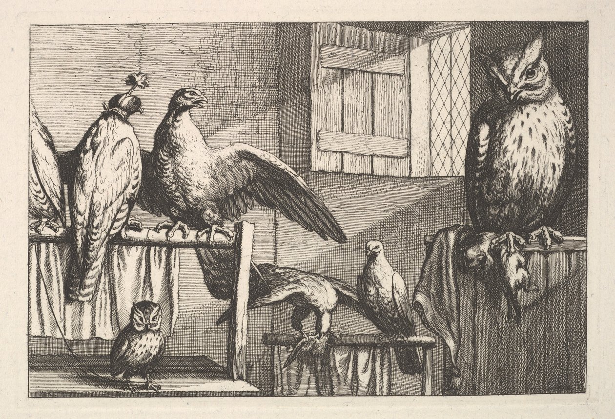Falchi e Gufi da Wenceslaus Hollar
