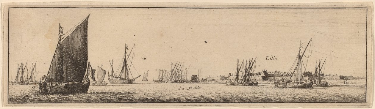 Lillo da Wenceslaus Hollar