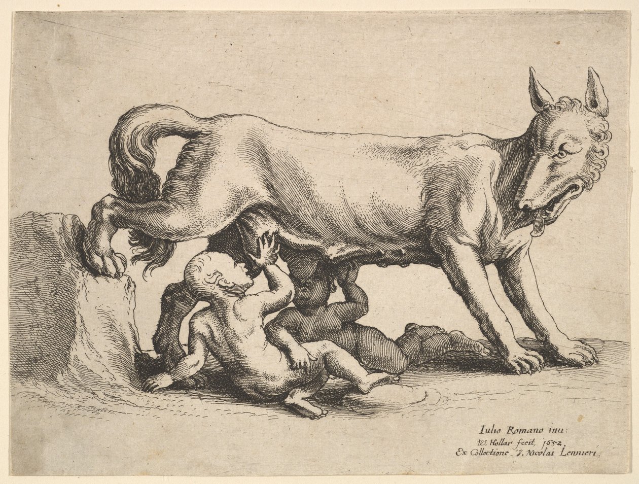 Romolo e Remo, 1652 da Wenceslaus Hollar