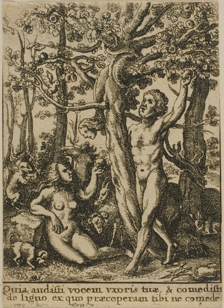 Il Giardino dell