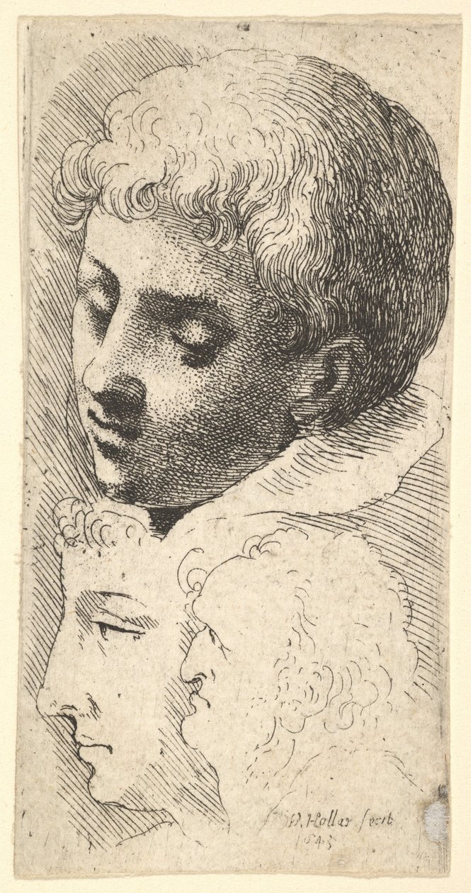 Tre teste, 1645 da Wenceslaus Hollar