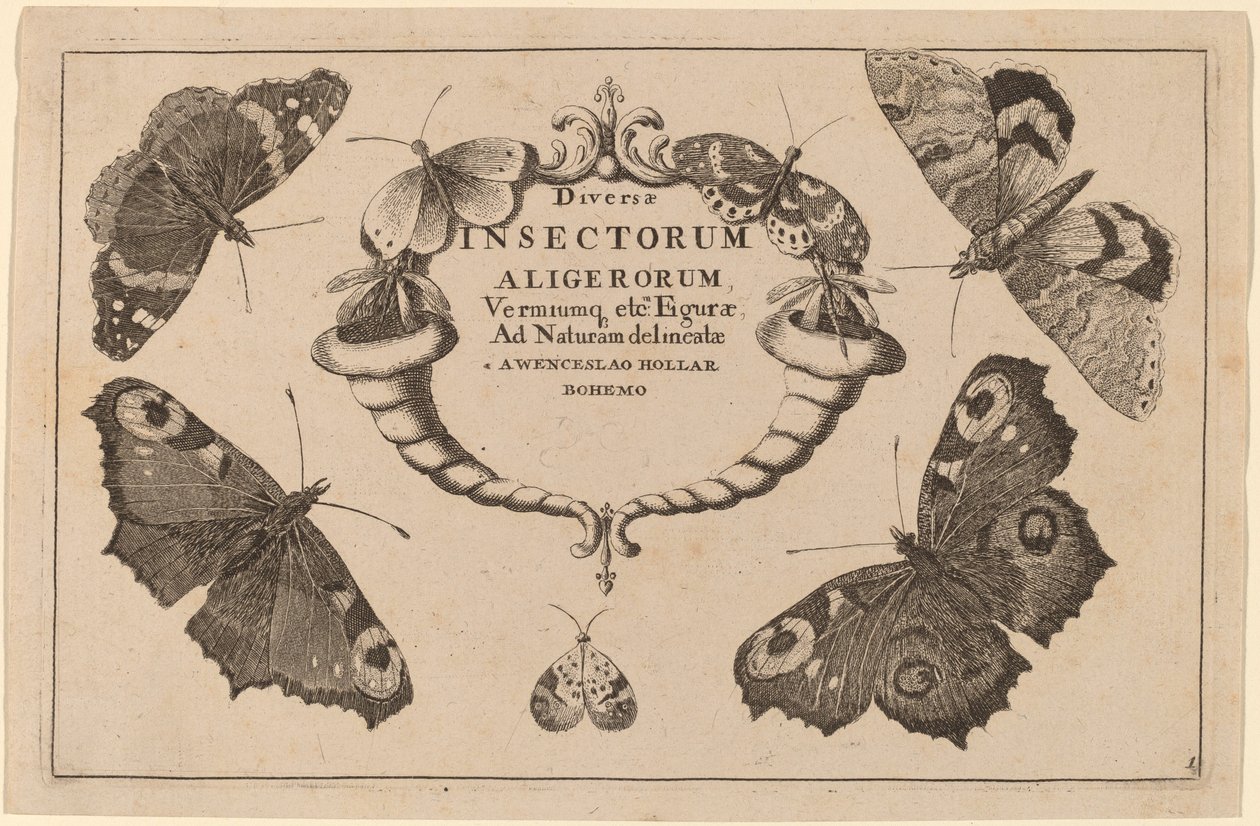 Pagina del Titolo da Wenceslaus Hollar