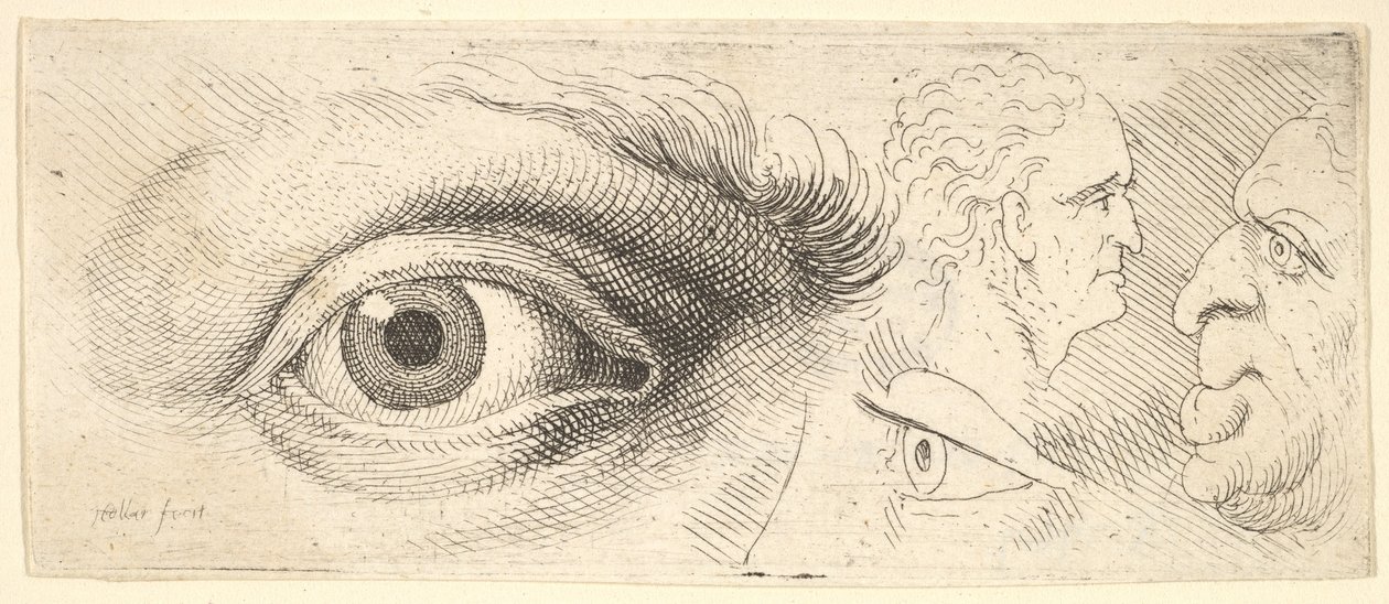 Due occhi e due teste, 1644-52 da Wenceslaus Hollar