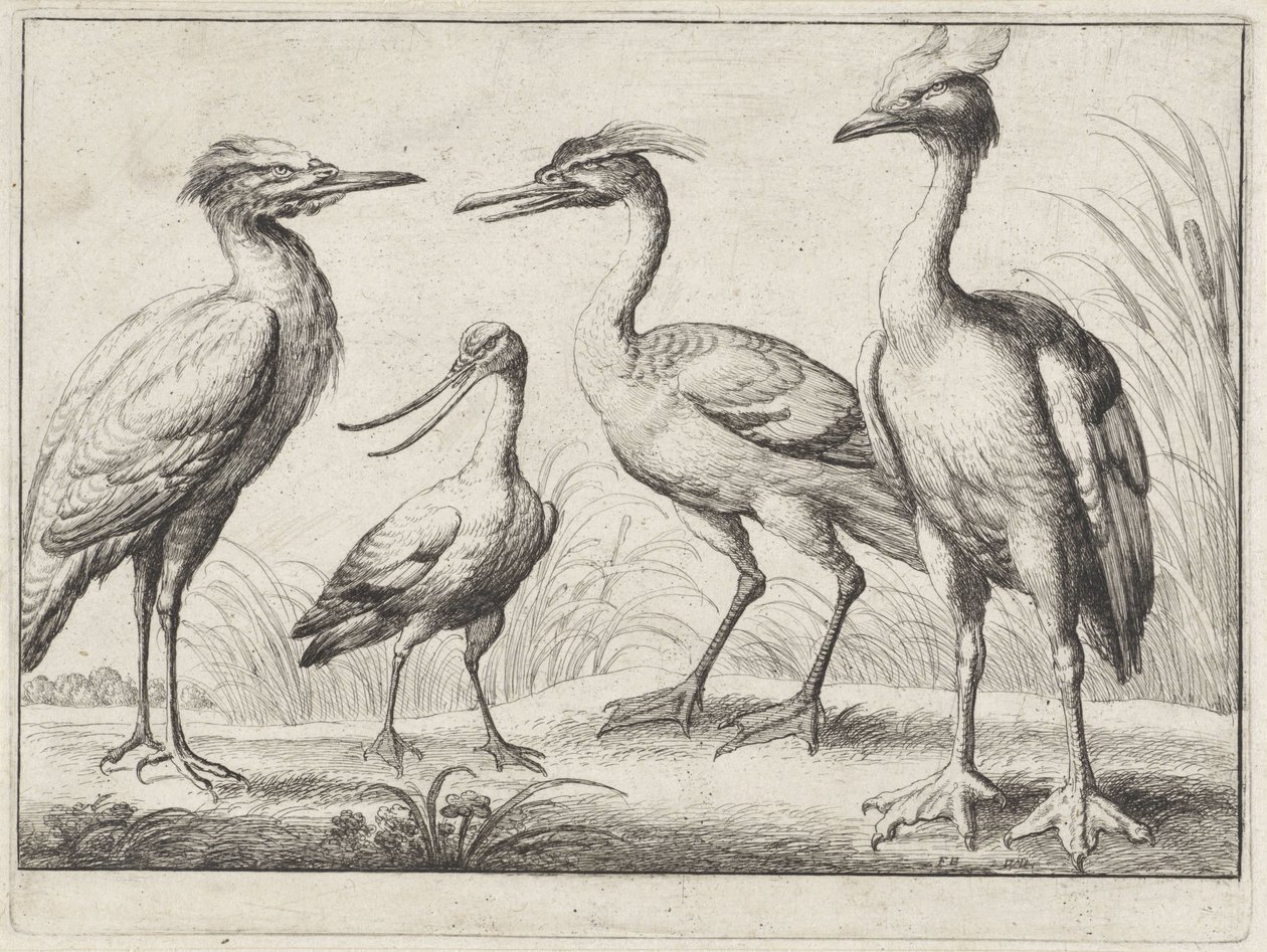 Quattro trampolieri da Wenceslaus Hollar
