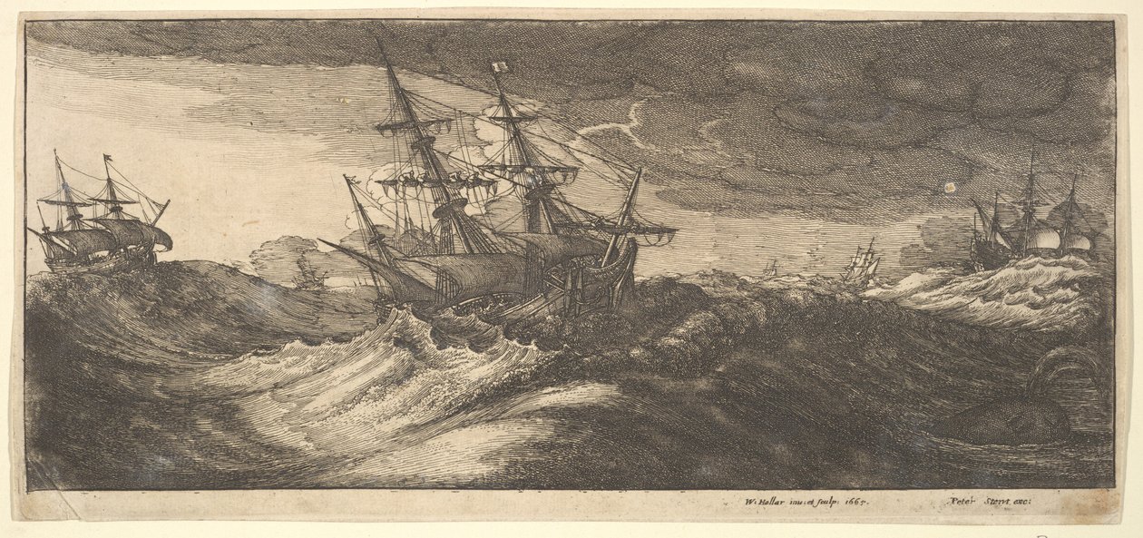 Nave da guerra e una balena che spruzza, 1665 da Wenceslaus Hollar