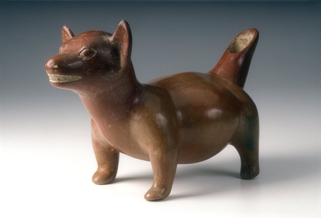 Vaso Effigie di Cane, c.200 a.C.-300 d.C. da West Mexican