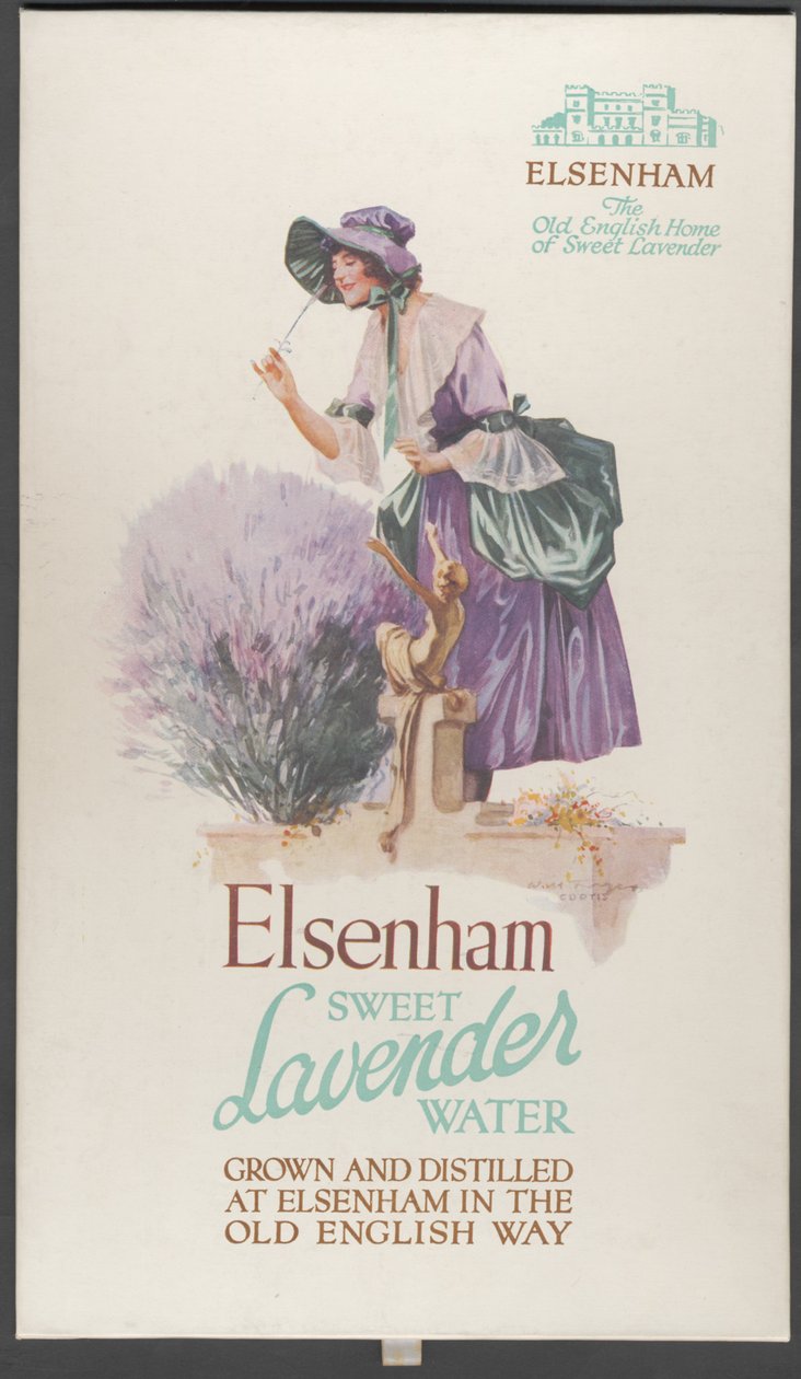 Lavanda di Elsenham da Wilfred Fryer