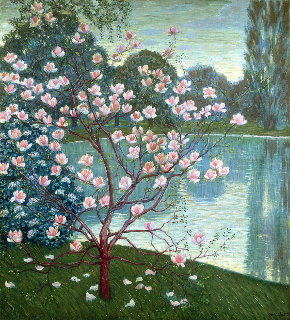 Magnolia da Wilhelm List
