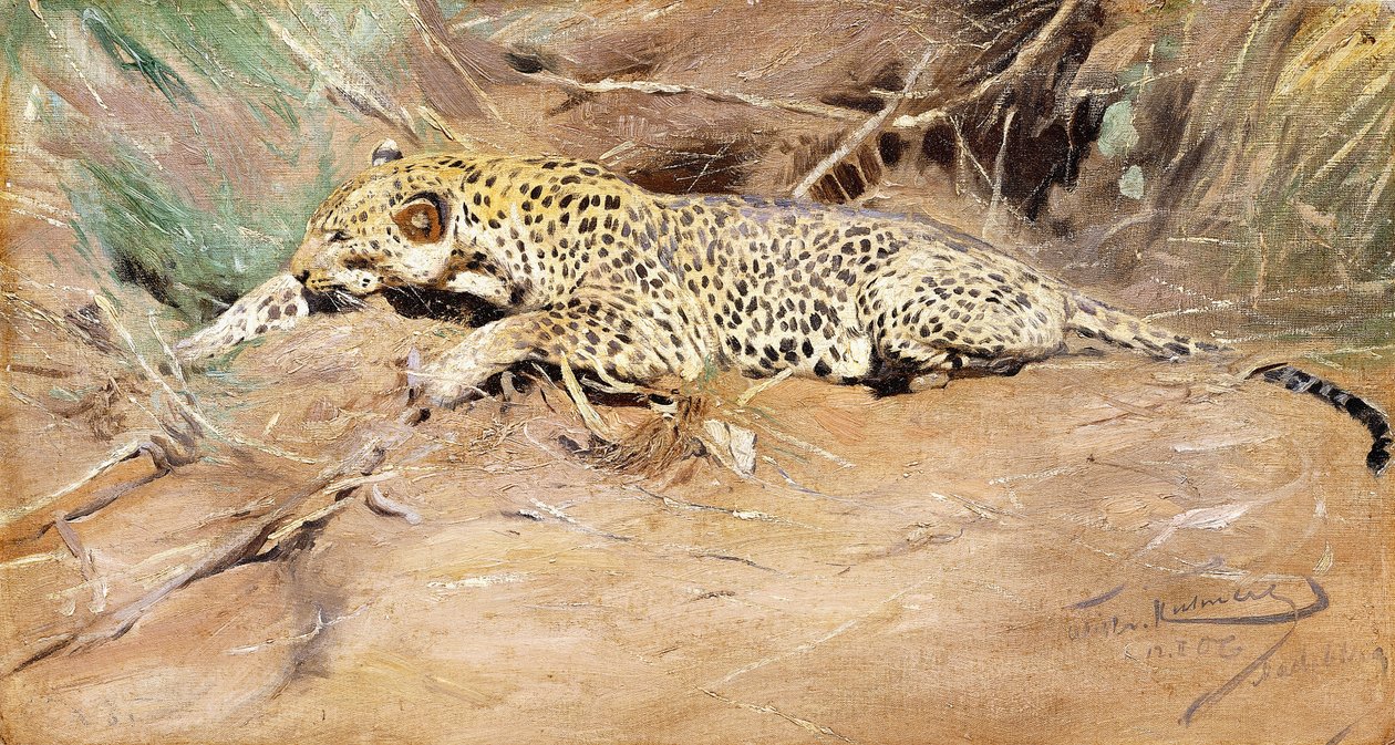 Un leopardo da Wilhelm Kuhnert