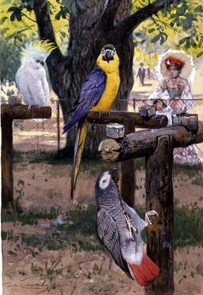 Allo zoo da Wilhelm Kuhnert