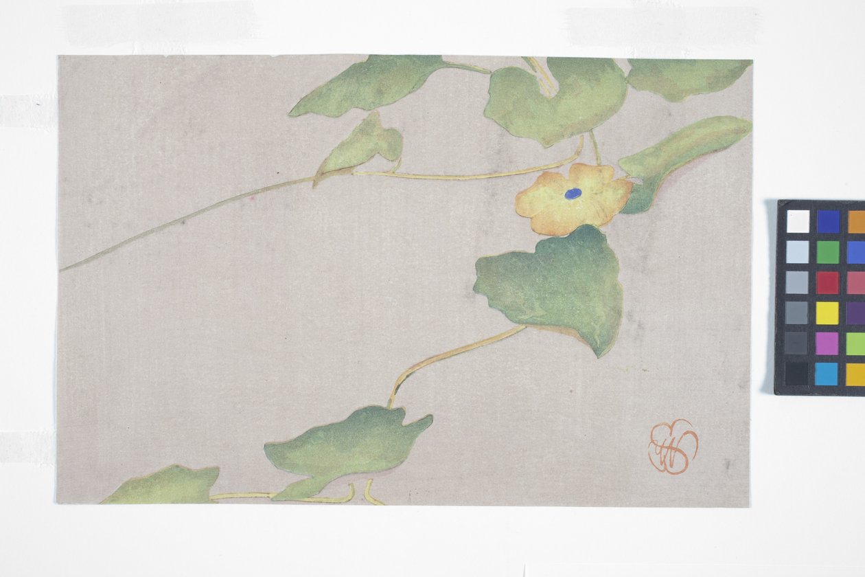 Studio di fiori, c.1908 da Wilhelmina Seegmiller
