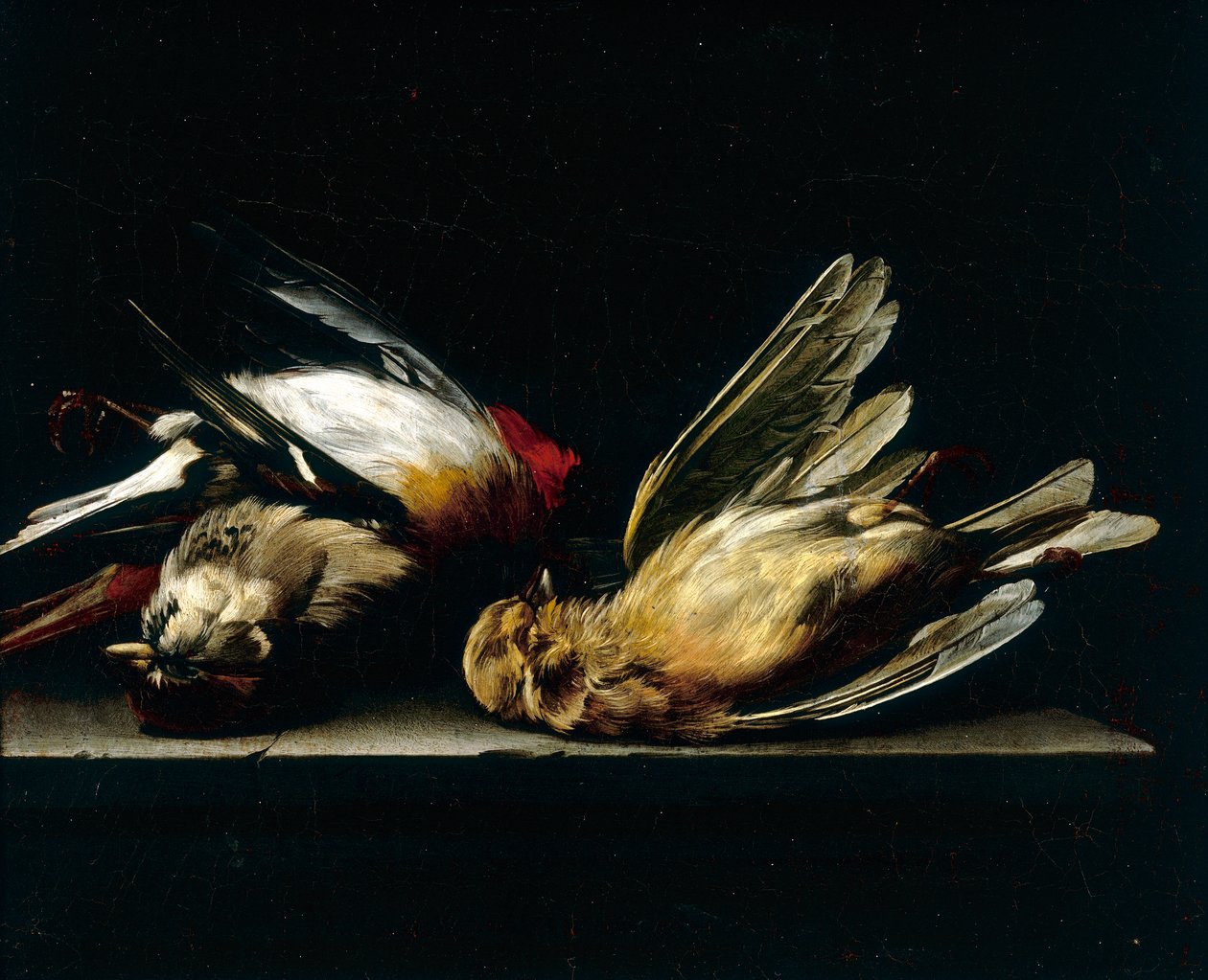 Uccellini morti da Willem van Aelst