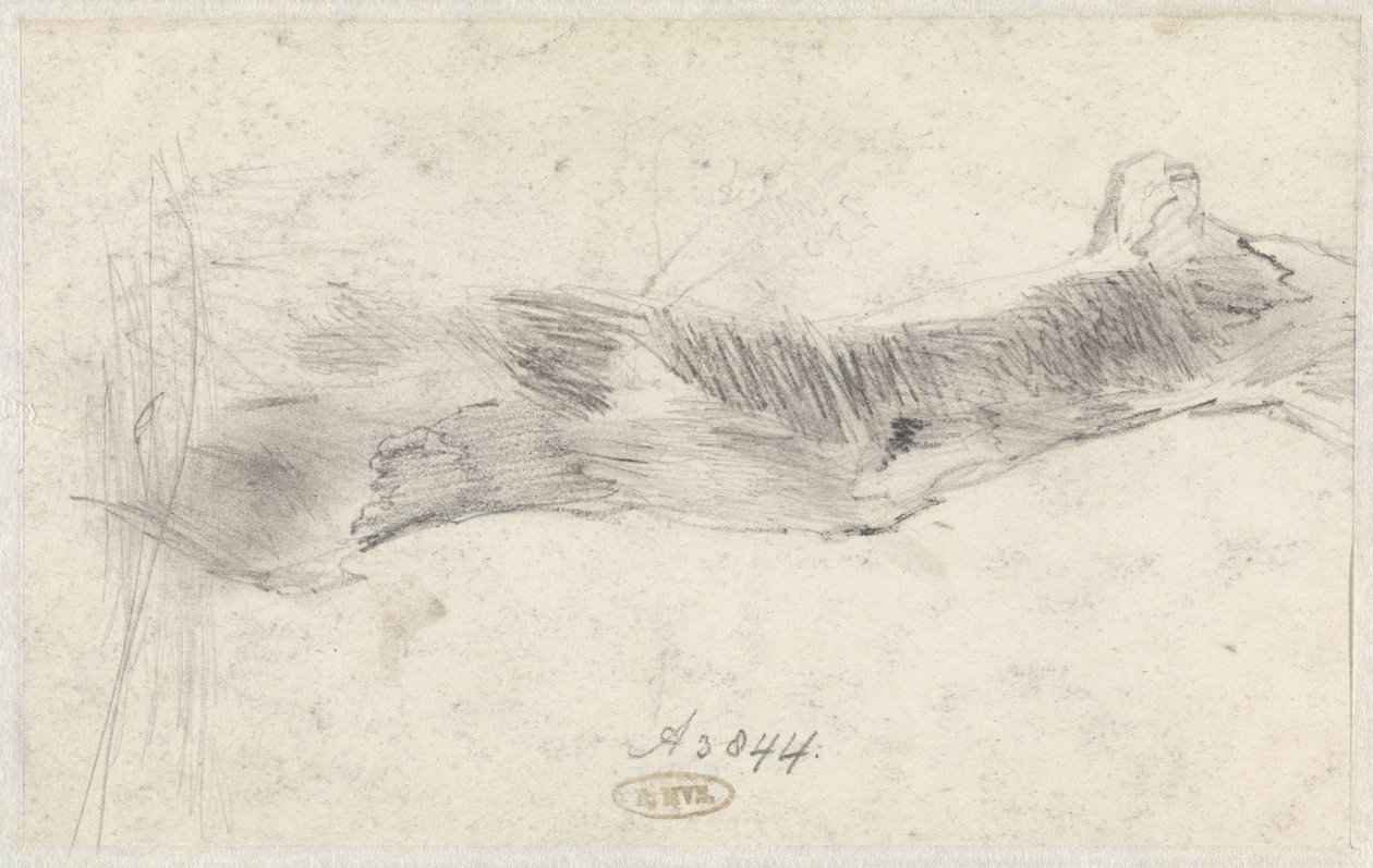 Studio di un albero da Willem Anthonie van Deventer