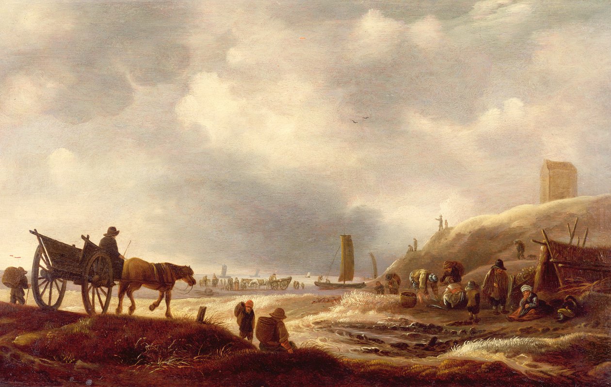Immagine sconosciuta da Willem Kool or Koolen
