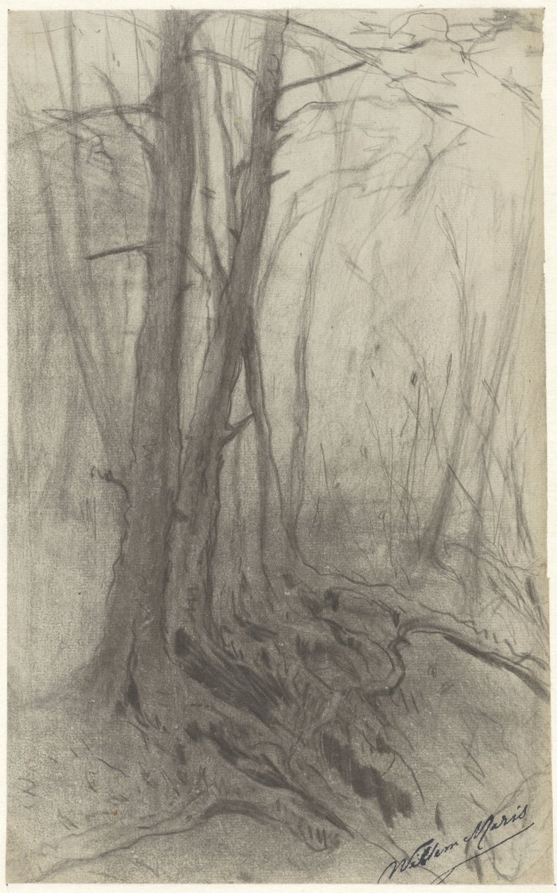 Alberi in un bosco da Willem Maris