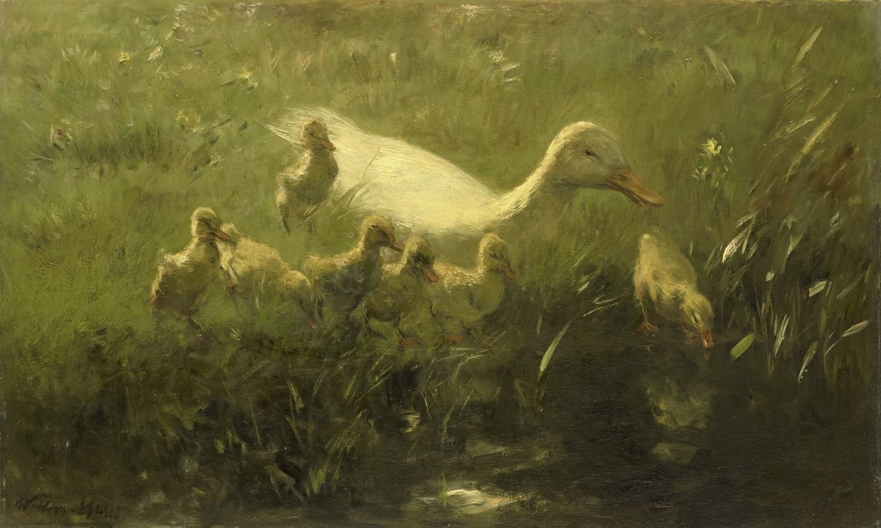 Anatra bianca con pulcini da Willem Maris