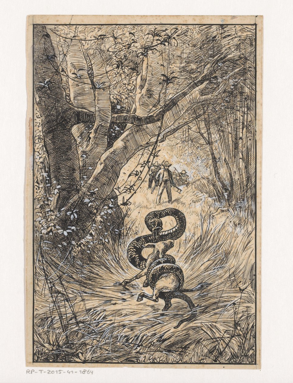 Serpente strangola una capra da Willem Wenckebach