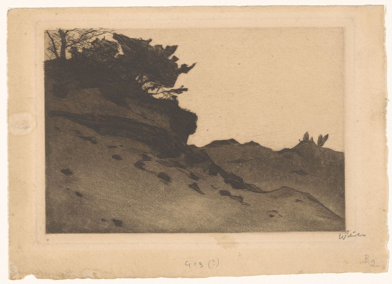 Cespugli su una distesa di sabbia da Willem Witsen (signed by artist)