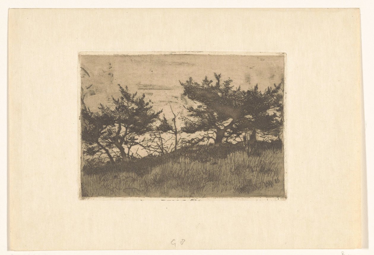Alberi su una collina da Willem Arnoldus Witsen