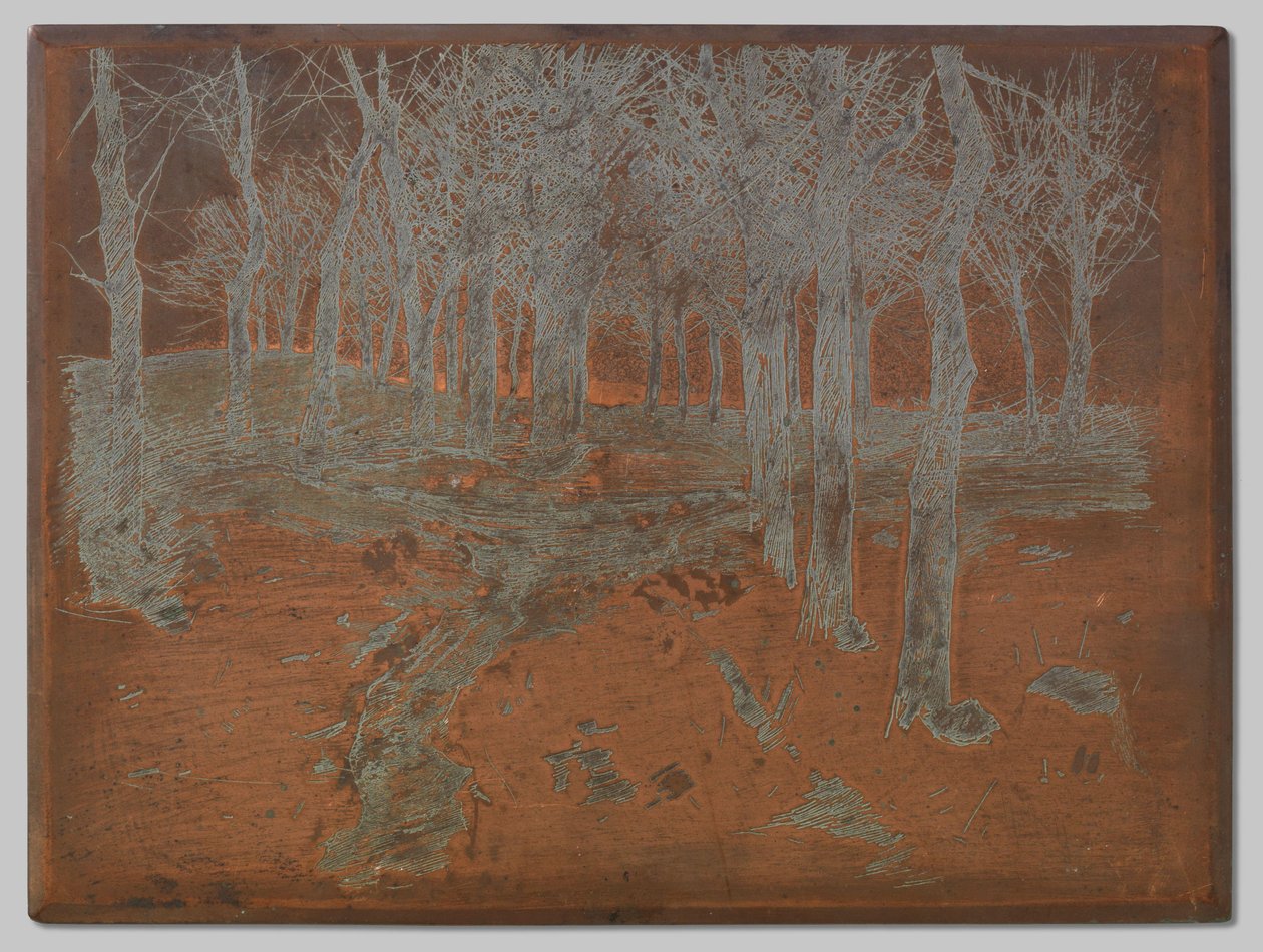 Bosco in Ewijkshoeve da Willem Arnoldus Witsen