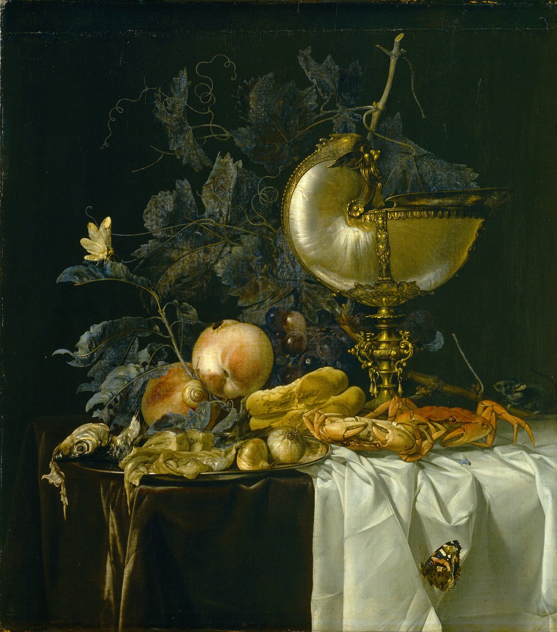 Natura morta con coppa di Nautilus da Willem van Aelst