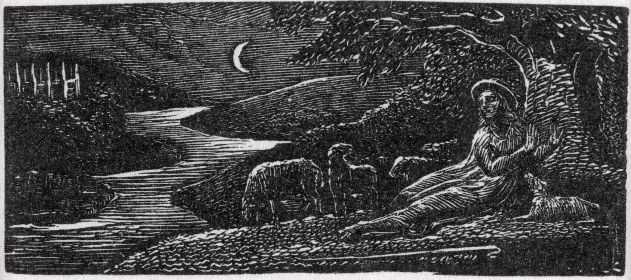 Colinet Riposando a Cambridge di Notte, illustrazione da 