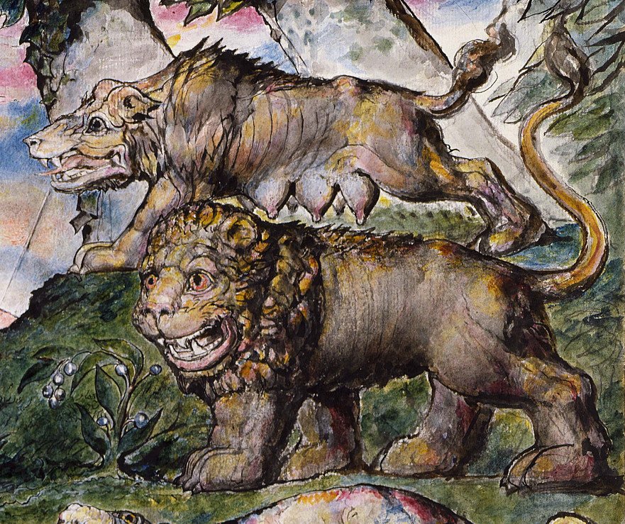 Leone e Lupo da William Blake