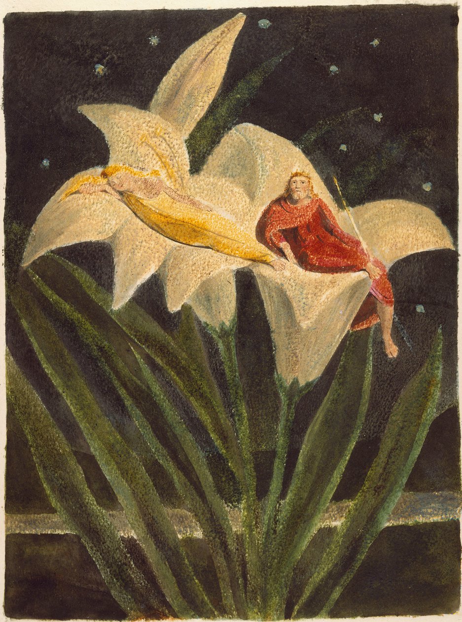 Il Canto di Los da William Blake
