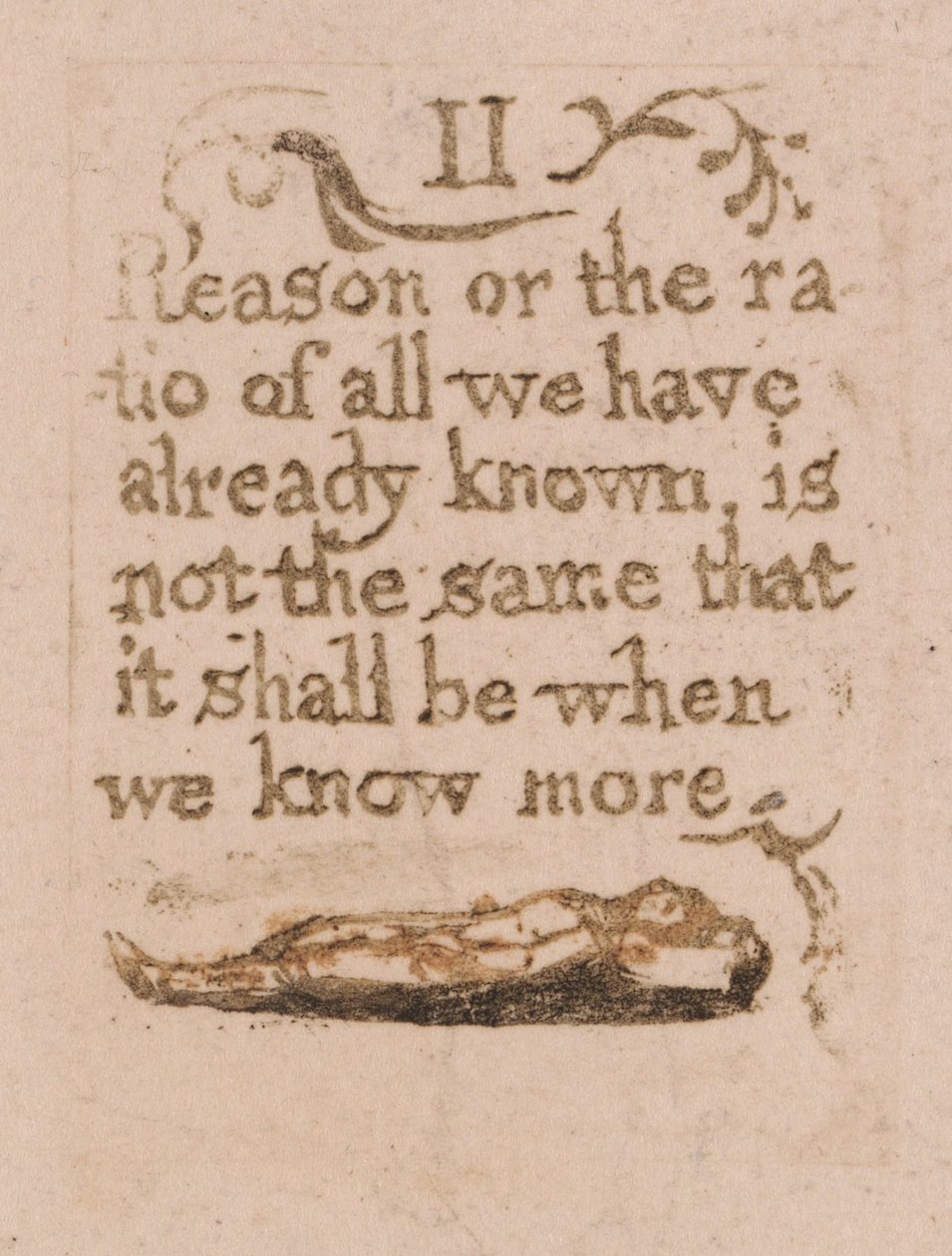 Non Esiste Religione Naturale, Tavola 11, La Ragione o il Rapporto... (Bentley b4) da William Blake