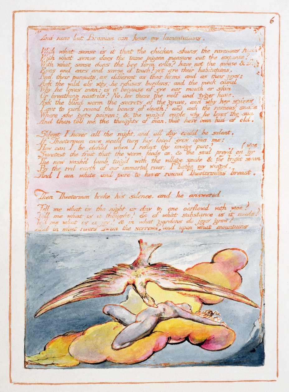 Visions of the Daughters of Albion: 