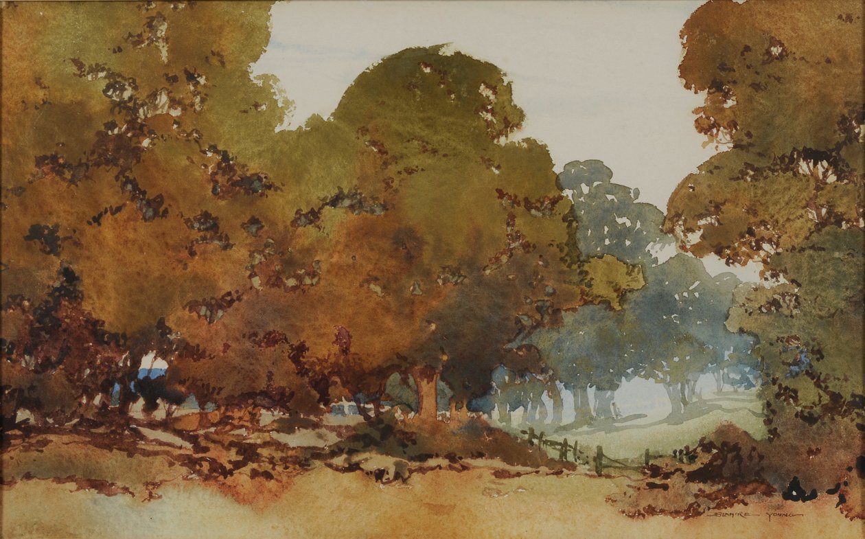 Alberi di gomma da William Blamire Young