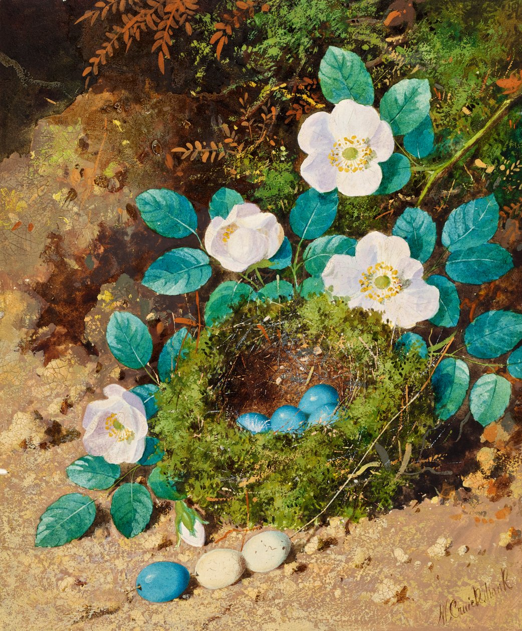 Natura Morta da William Cruikshank