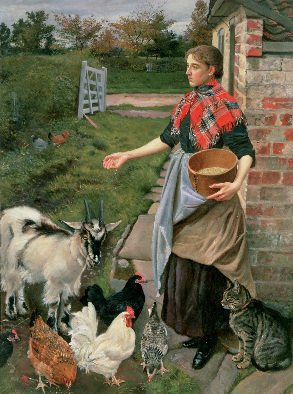 Dare da Mangiare ai Polli da William Edward Millner