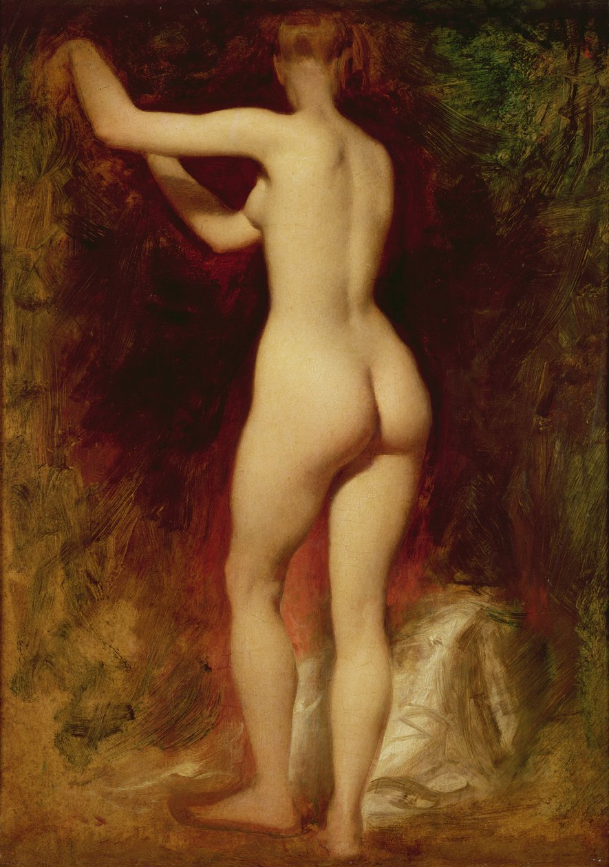 Nudo femminile di schiena