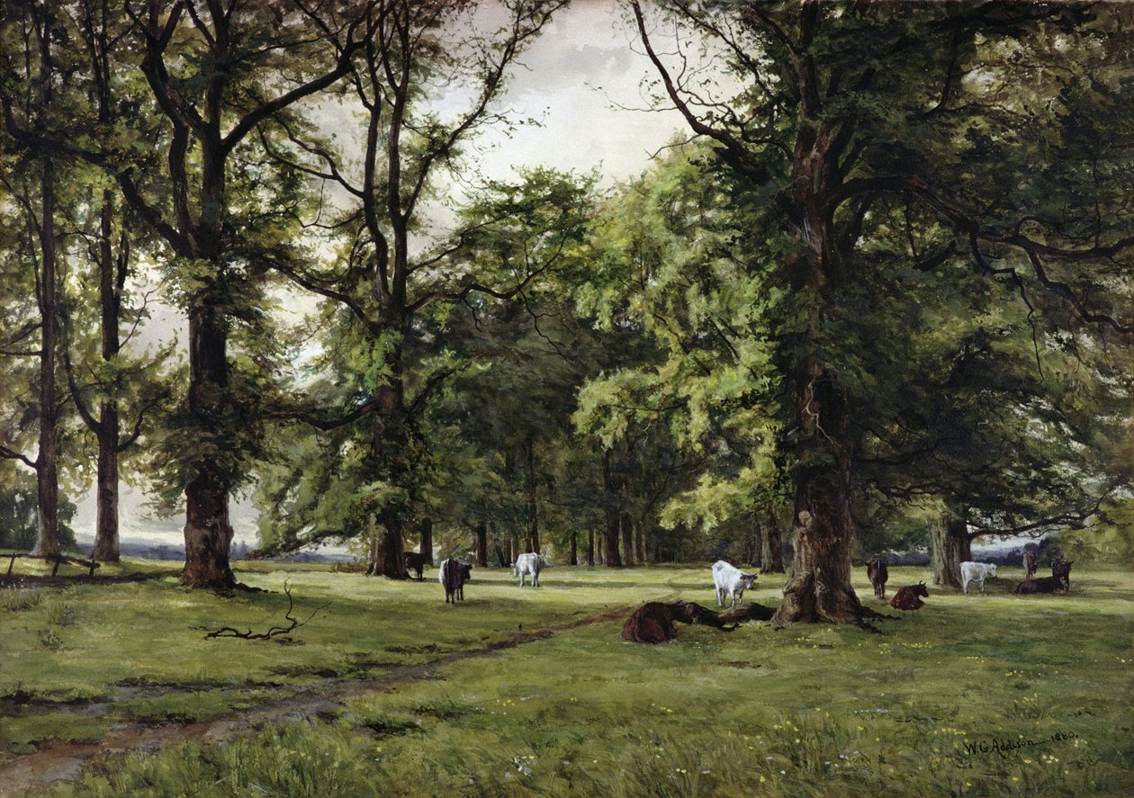 Il viale degli olmi da William Grylls Addison