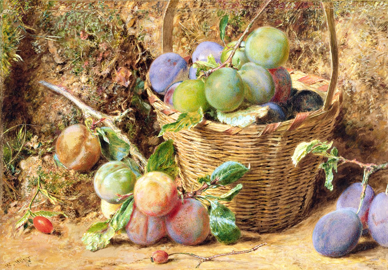 Prugne da William Henry Hunt