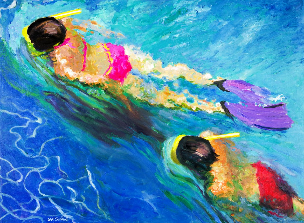 Inseguimento, 2005 da William Ireland