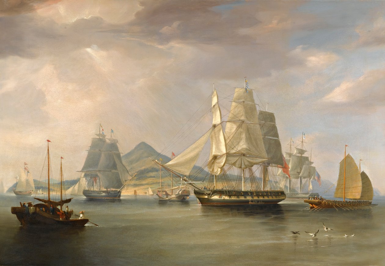 Le navi dell