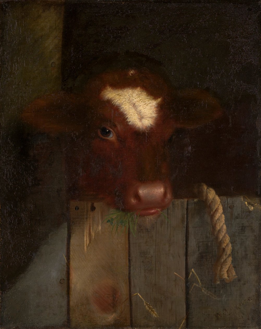 La Mucca di Famiglia (Testa di Vitello) da William Merritt Chase