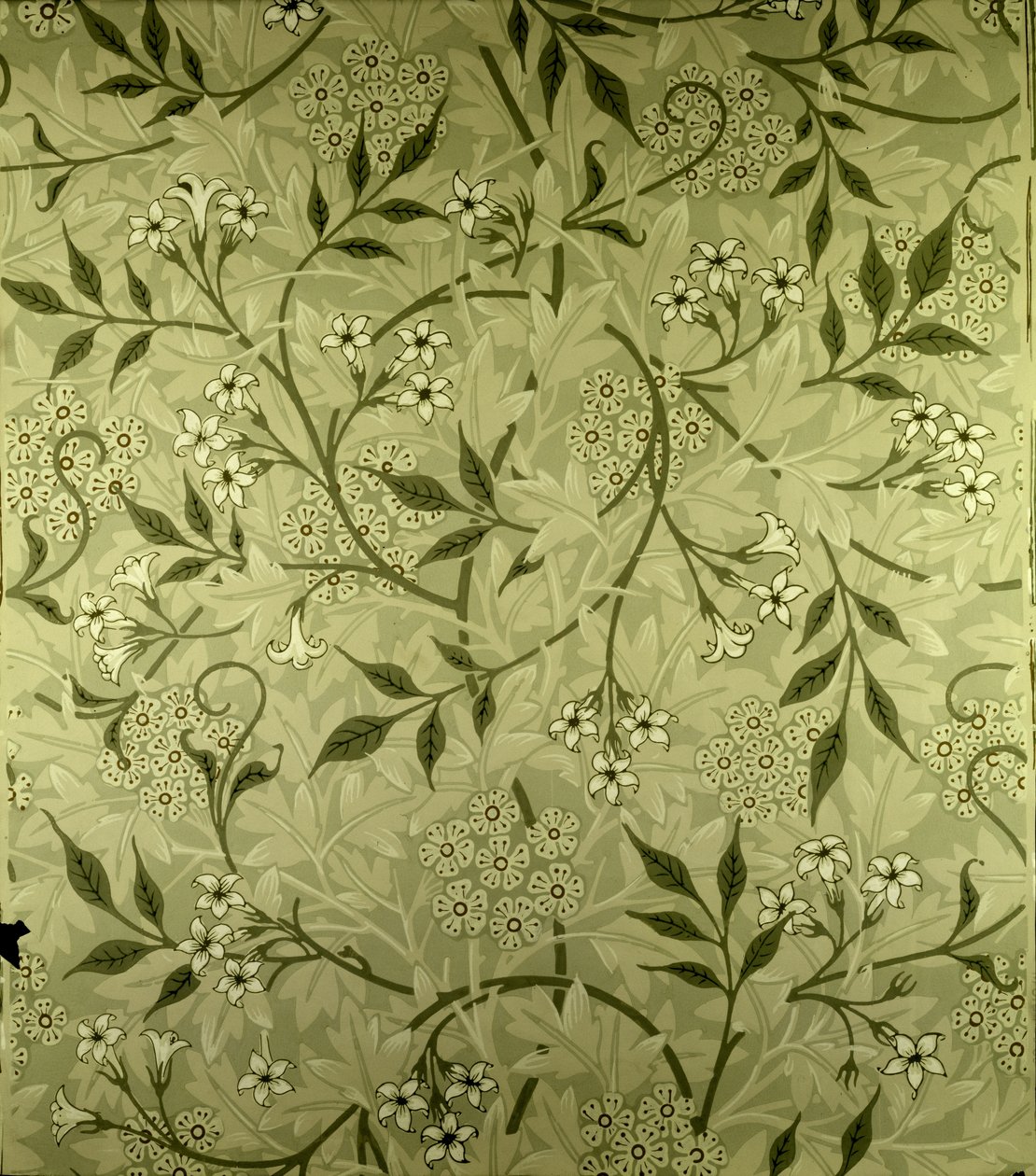 Disegno di carta da parati 