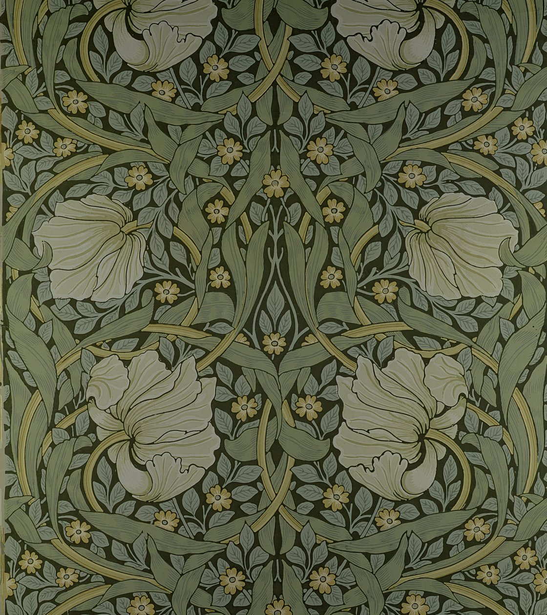Disegno di carta da parati 