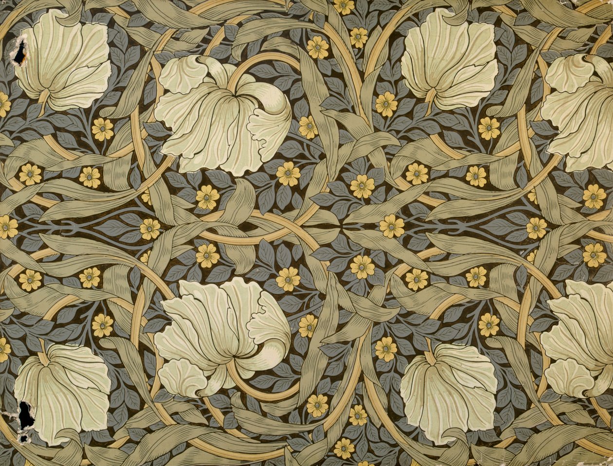 Pimpernell, disegno per carta da parati, 1876 da William Morris