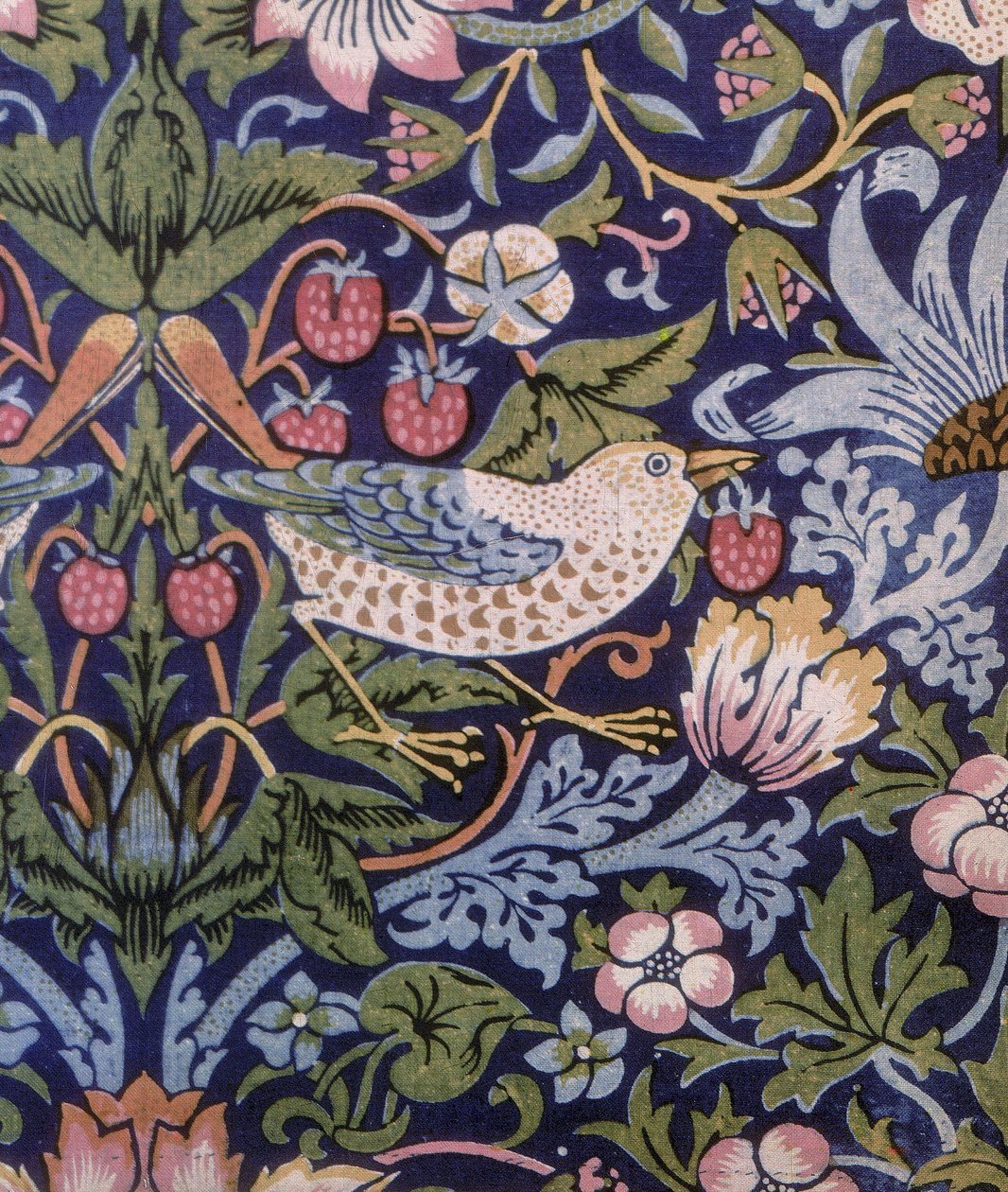 Tenda del ladro di fragole, 1883 da William Morris