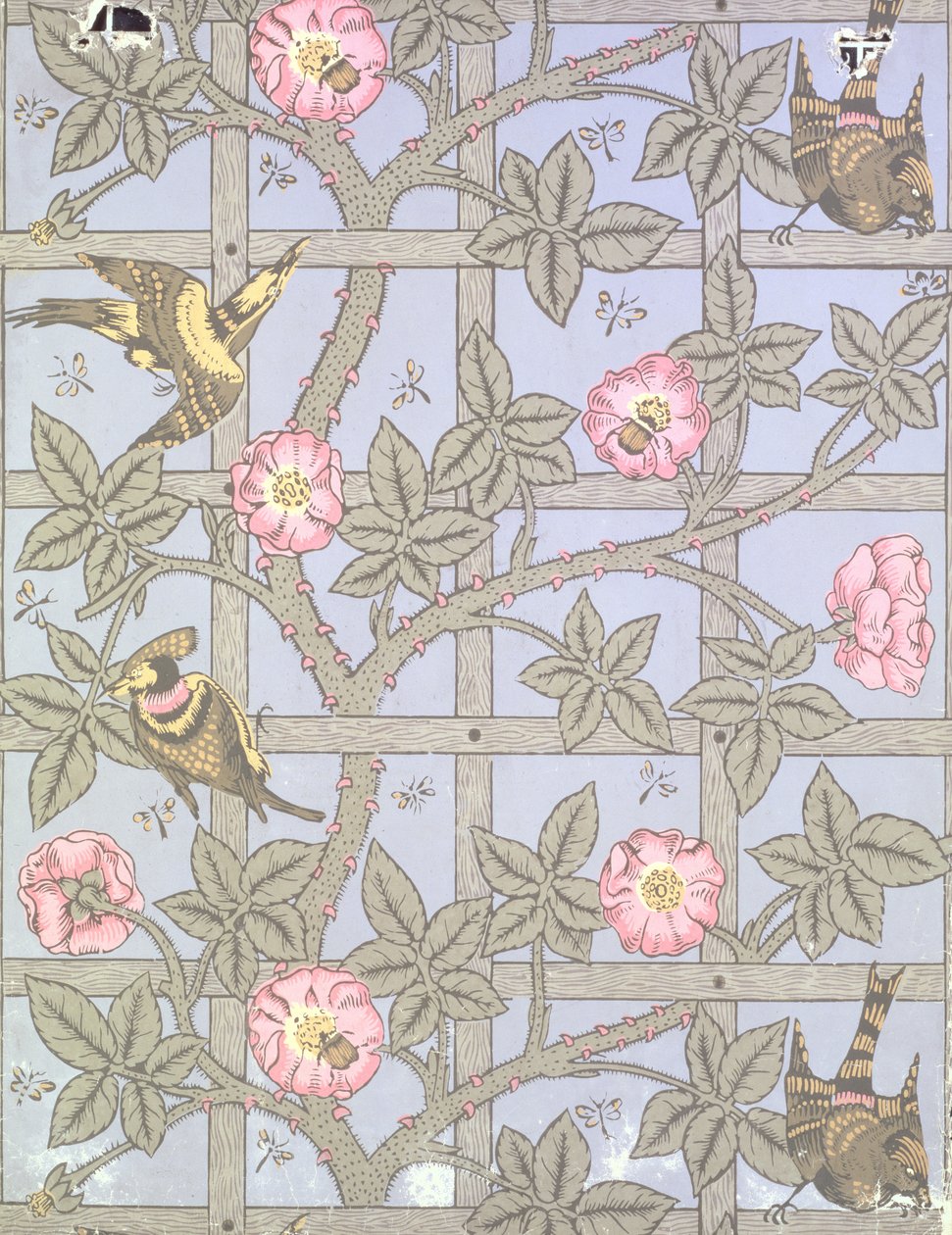 Disegno di carta da parati 