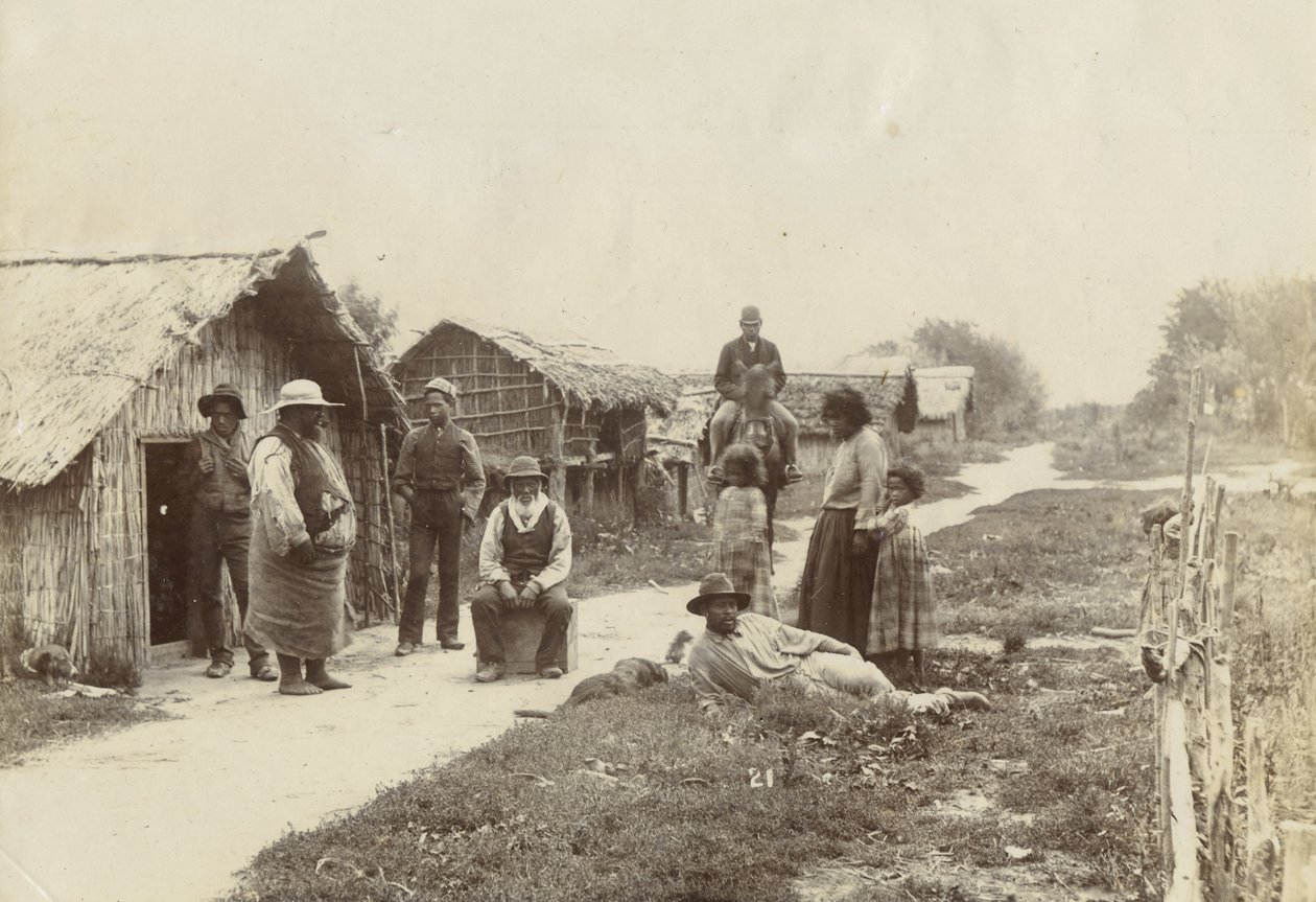 Kaiwhaiki pa, Upokongaro, c.1895 da William Partington