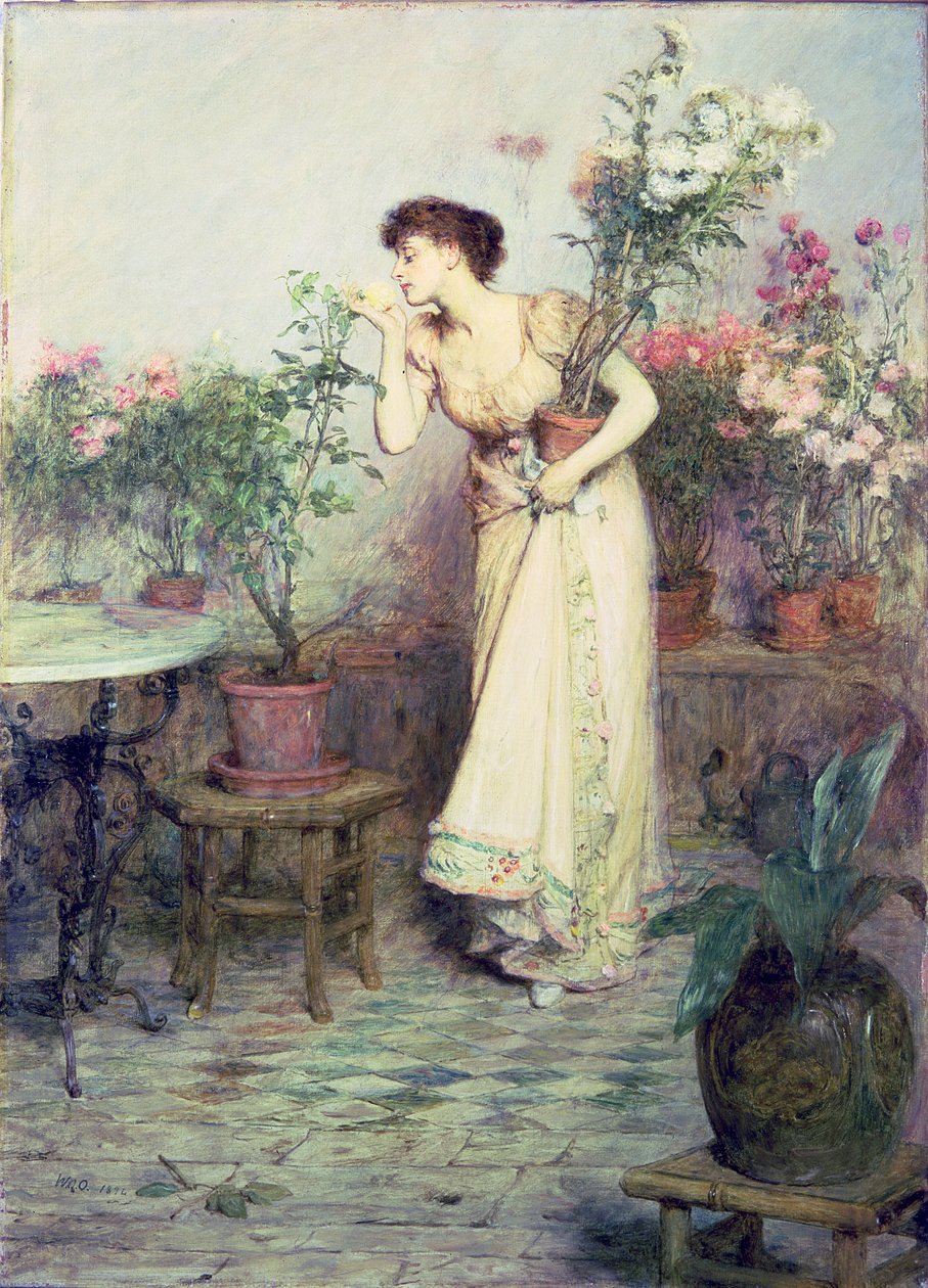 Nella serra, 1894 da William Quiller Orchardson