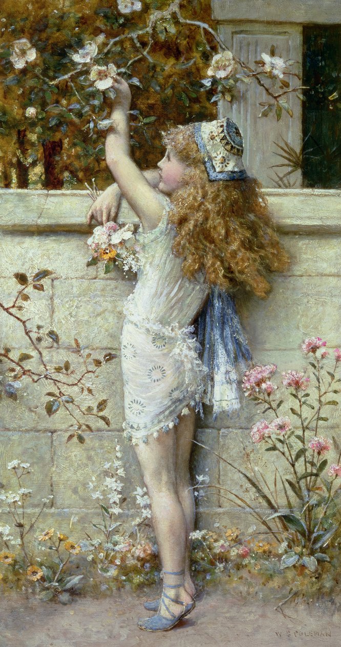 Raccolta di Fiori da William Stephen Coleman